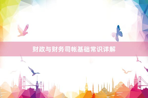 财政与财务司帐基础常识详解